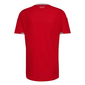 Wales Home Soccer Jersey World Cup 2026