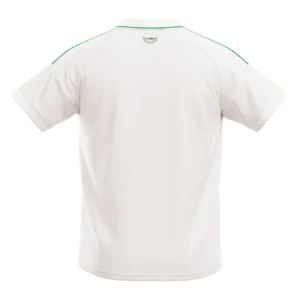 Wales Away Soccer Jersey World Cup 2026